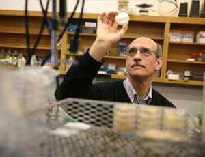 24小时轰炸对方的电话软件